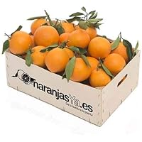 Amazon.es Los más vendidos: Los productos más populares en Frutales