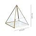 Glass Geometric Terrarium Container 4.5X5.2 inch and 4.3X3.7 inch Glass Terrarium for Succulent & Air Plant (Gold, 2pcs)