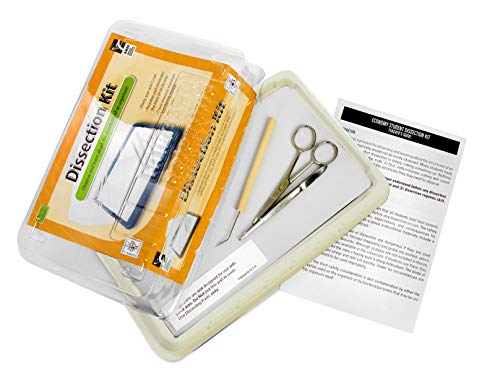 American Educational Economy Dissection Student Kit