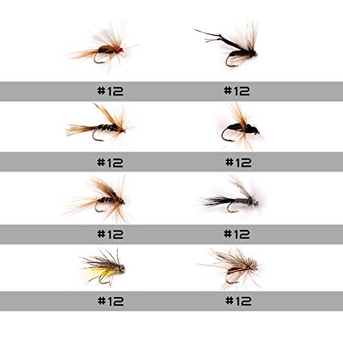 image for M MAXIMUMCATCH Maxcatch Fly Fishing Flies Kit Fly Assortment Dry/Wet F