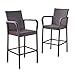 Christopher Knight Home Stewart Outdoor Bar Stool, Set of 2, Brown primary