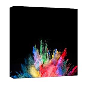 signwin Canvas Wall Art Colorful Powder Canvas Prints...