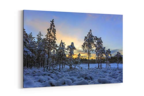 image for Generic Seasons Winter Evening Trees Snow Nature - Canvas Wall Art Gal