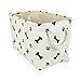 Bone Dry Pet Storage Collection Paw and Bone Print, Small Rectangle, 14x8x9