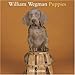 William Wegman Puppies 2008 Wall Calendar by 