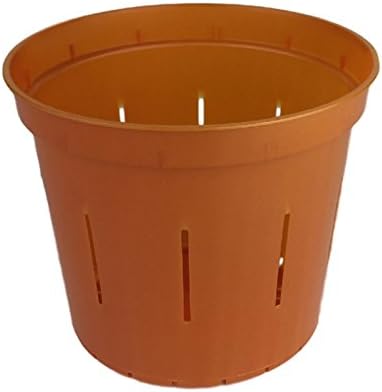 6" Slotted Clear Orchid Pots - 6 Pack (Copper Amber)