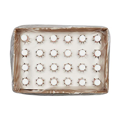 2 Keebler+Original+Cake+Cones+Pack