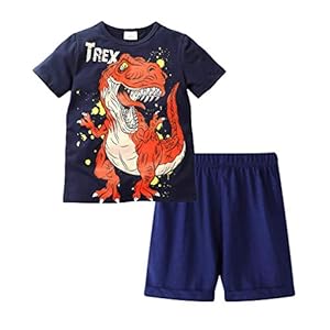 95sCloud 2 stuks kinderkleding jongen dinosaurus patroon korte mouwen tops T-shirt + shorts broeken boy kledingset zomer…