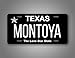 Texas INVERTED License Plate Customized Auto Tag 