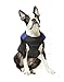 Gooby Padded Vest Dog Jacket - Blue, Small - Warm Zip Up Vest Fleece Jacket with Dual D Ring Leash - Winter Water Resistant Sweater - Clothes for Small and Dogs