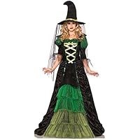 Leg Avenue Women's 2 Piece Storybook Witch