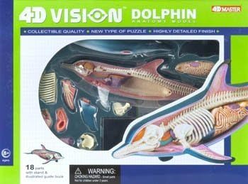 Famemaster 4D-Vision Dolphin Anatomy Model by Fame Master