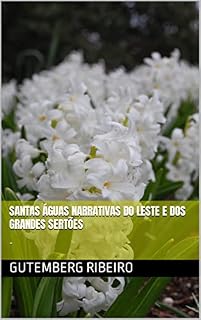 Livro Santas Águas Narrativas do Leste e dos Grandes Sertões : - (Fuzilamento Livro 1)