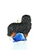 Old World Christmas Bernese Mountain Dog Glass Blown Ornament