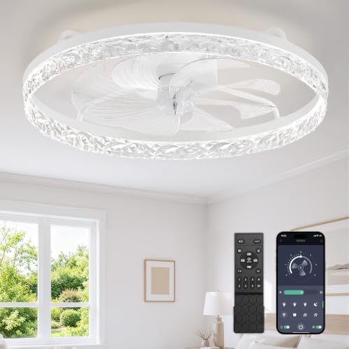 LEDIARY 24 Inch Ceiling Fan