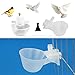 Mccng – Bird Feeding – 5pcs Poultry Bird Chicken Water Drinker Cup Plastic Bowl Automatic Drinking – Drinker Drinkers Bowl Bird Bird Feeding Drinker Chicken Feeder Water Automatic Poultry Parrot Feedthumb 1