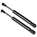 Maxpow 2pcs Compatible With Volkswagen Beetle Convertible Only 2003 2004 2005 2006 2007 2008 2009 2010 Rear Trunk Lid Lift Supports Struts SG401031 8196134