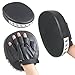 TOOGOO(R) 2x focus pads hook jab mitts boxing gloves sparring punch bag training pair