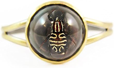 Beetle Cuff Halloween Jewelry Halloween Cuff Taxidermy Jewelry Specimen in Resin