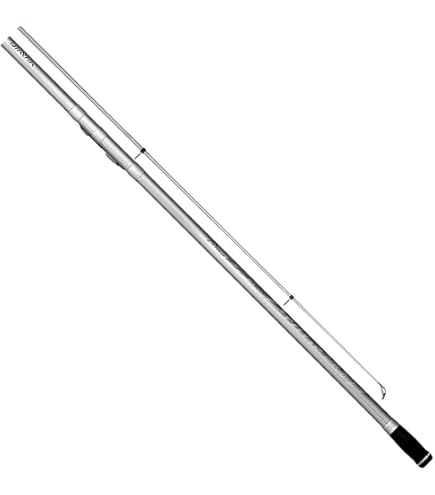 Amazon.com : Daiwa Prime SURF T #27-425-W : Sports & Outdoors