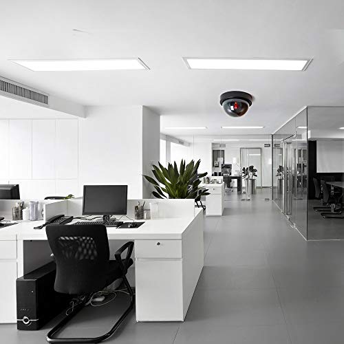 5 TOROTON+Security+Simulation+Blinking+Business