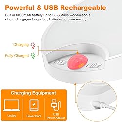 DEEPLITE Battery Ceiling Light Motion Sensor with