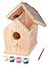 Toysmith Paint-a-Birdhouse Kit