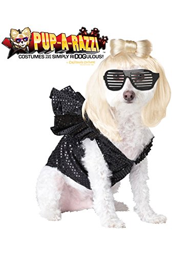 Pup-A-Razzi Pop Sensation Dog Costume, Small, Black
