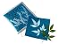 Jacquard Citrate D'ammonium Ferrique - 227g Pour Cyanotype Et Impressions Bleues Artisanales
