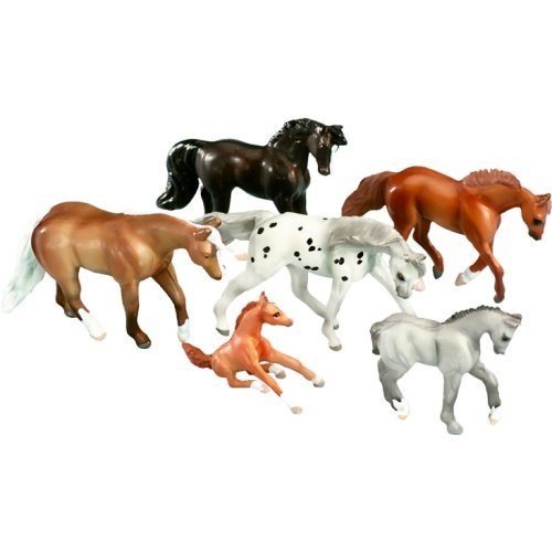 Pony Gals Pleasure Horses