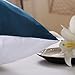 OOSILK Mulberry Charmeuse Silk Pillowcase with Zipper,19MM Queen 20in x 30in, Royal Blue,1pc