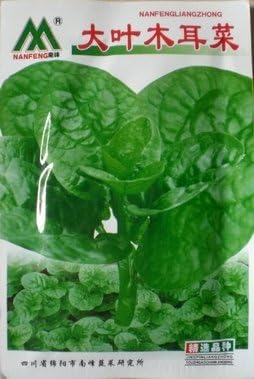 Siam Circus Vegetable seeds big malabar spinach seeds soft bean curd dishes Malabar nightshade blusher 20g PCS / bag Decor Pots