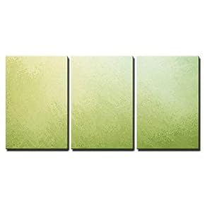 3 Piece Canvas Wall Art - Classy Light Green Background with Pale White Center Spot and Darker Green Grunge Design - Modern Home Art Stretched and Framed Ready to Hang - 16"x24"x3 Panels