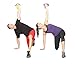 Premium Vinyl Dipped Kettle Bell With Introductory Training Dvd by GoFit