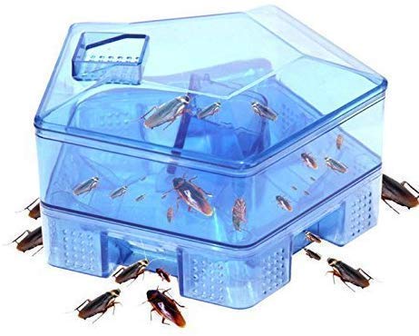 Dxent Cockroach Bug Roach Catcher || Cockroach Killer Bait Traps || cockroach Traps Box || Effective Pesticide Kitchen Restaurant Essentials || (Blue Color)