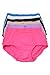 Barbra Lingerie Women’s Travel Pocket Underwear Girdle Brief Panties S-5XL