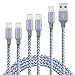 Lightning Cable iPhone Charger Cable MFi Certified Cable 5Pack 2x3foot 2x6foot 10foot To USB Syncing Data and Nylon Braided Cord Charger for iPhone Xs/Max/XR/X/8/8Plus/7/7Plus/6S/6S Plus/SE/iPad and M