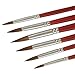 Attmu Paintbrushes (6 Pack), Long Handle Round Brush Set, Art Paint Brushes for Acrylic, Oil, Watercolors