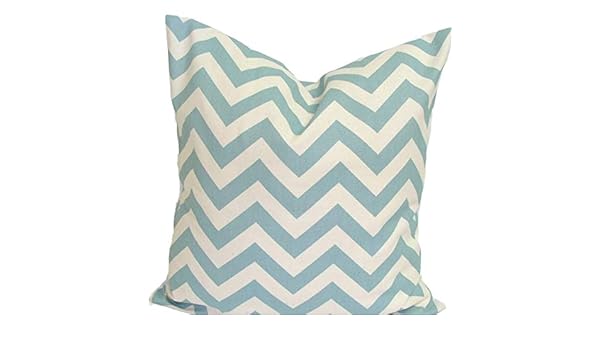 Amazon Com Robin S Egg Blue Pillow Cover Spa Blue Pillow