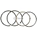 Stens 500-074 Piston Rings STD, Silver primary