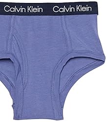 Calvin Klein Boys' Modern Cotton Assorted Briefs