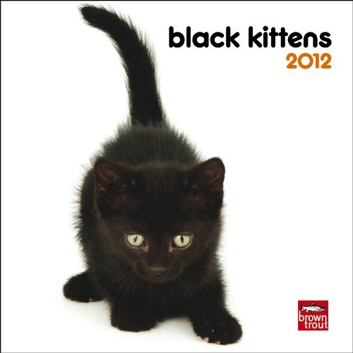 Black Kittens 2012 7X7 Mini Wall Calendar