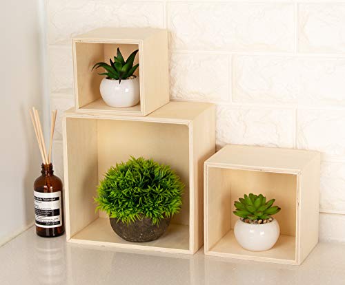 1 Genie+Crafts+Unfinished+Collectibles+Succulents