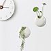 T4U Ceramic Wall Planter Pot, 4 Inch Round Wall Mounted Air Plant Cactus Herb Container for Gardening Home and Office Decoration Birthday Wedding Gift (Set of 2, White)thumb 4