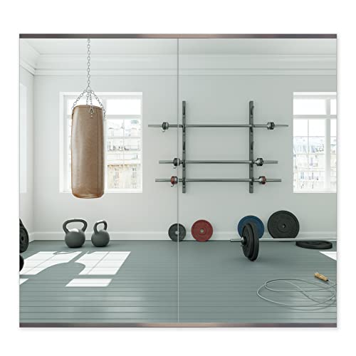 Honyee Home Gym Mirror, 48