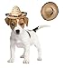 ISusser 2Pc colorful straw hat, hat flanging, Home Furnishing decoration - Mini Sombrero Top Hat Headband Fiesta Party Supplies