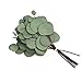 Faux Silver Dollar Eucalyptus | 8 Stems | Artificial Classic Silk Greenery Leaves for Floral Arrangement