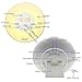 IPEAK Sunrise Alarm Clock, Wake Up Light Radio Alarm Clock, Nature Night Light With 7 Colors, Nature Sounds, FM Radio, Touch Control, Atmosphere Lamp, Bedside Lamp