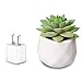 AmyHomie 15 Bundles Artificial Flowers Outdoor UV Resistant Faux Flowers No Fade Fake Plastic Plants Garden Porch Window Box Decorating ( Yellow ), 15pcs (8541836554)