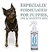 PRODOR Prebiotic Anti Itch Spray - A Natural Leave-In Dog Conditioner | For Dry Itchy Skin | Hydrates Dogs Sensitive Skin | Puppies | Calms Dog Skin Allergies | Dog Detangler | Vanilla & Oatmeal | 8oz